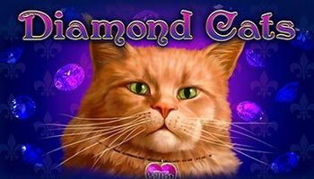 diamond cats